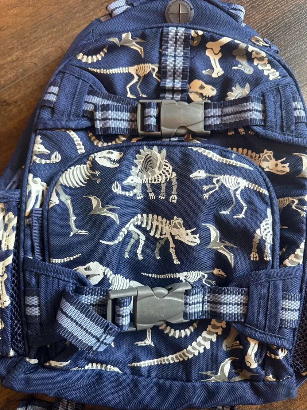 Size small Pottery Barn Kids glow in the dark dinosaur bones backpack